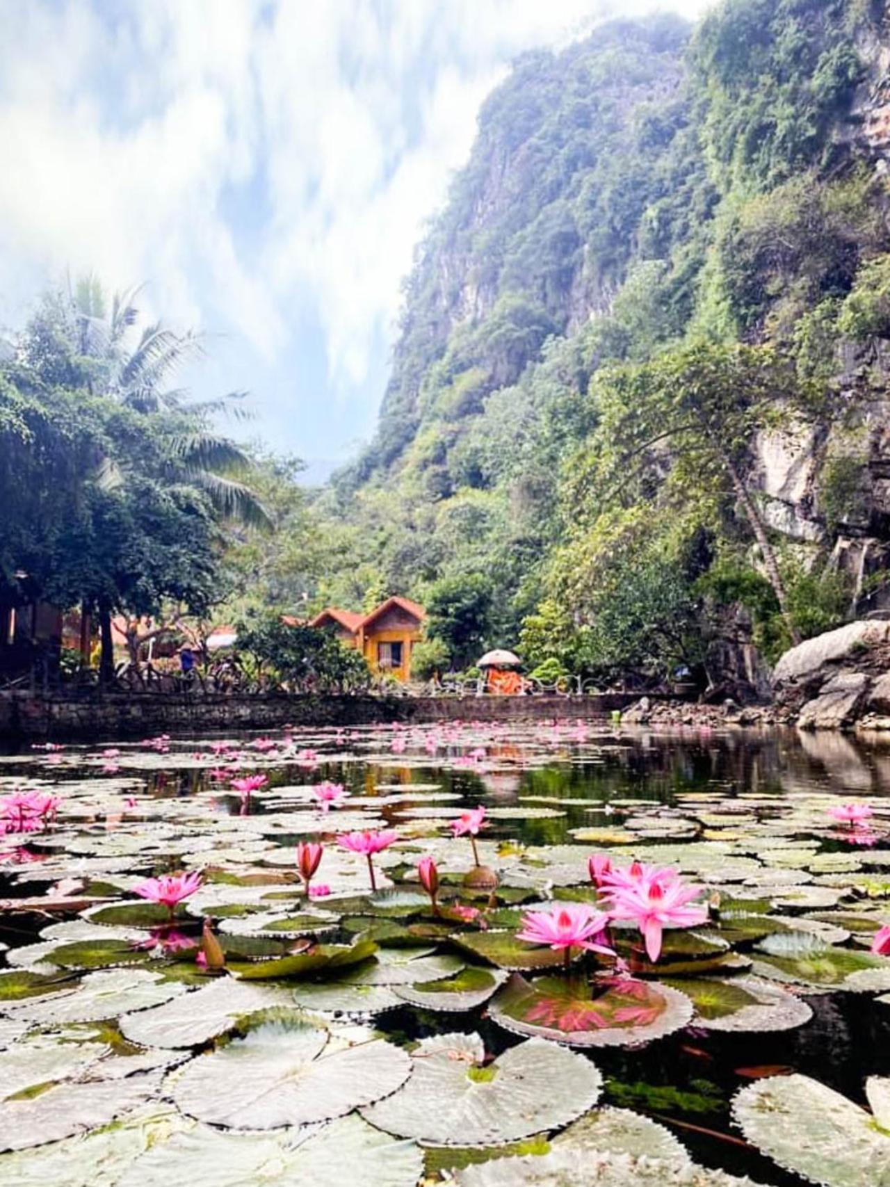 Tam Coc Rocky Bungalow Ninh Binh Luaran gambar